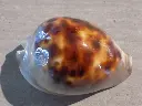 DSCN0877.webp