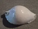 DSCN0881.webp