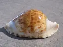DSCN0883.webp