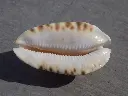 DSCN0885.webp