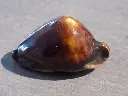 DSCN0888.webp