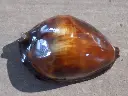 DSCN0890.webp