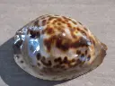 DSCN0895.webp