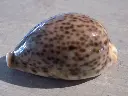 DSCN0897.webp