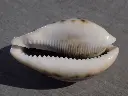 DSCN0898.webp