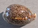 DSCN0899.webp