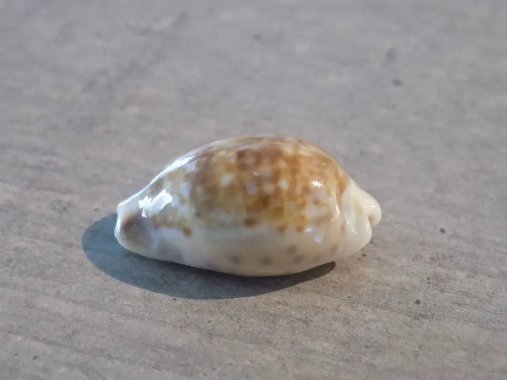 DSCN0910.webp