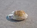 DSCN0910.webp