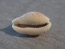 DSCN0911.webp