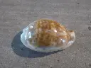 DSCN0912.webp