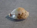 DSCN0914.webp