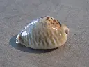 DSCN0918.webp