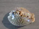 DSCN0920.webp