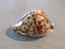 DSCN0922.webp