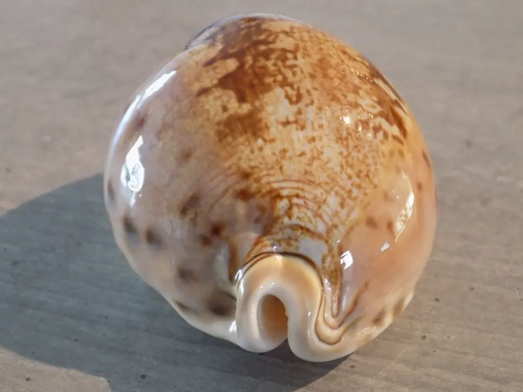 DSCN0937.webp