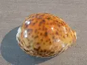 DSCN0933.webp