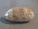 DSCN0941.webp