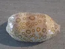DSCN0943.webp