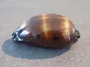 DSCN0947.webp
