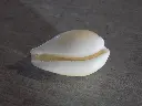 DSCN0979.webp