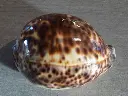 DSCN0976.webp