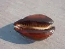 DSCN0983.webp