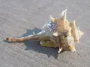 DSCN0986.webp