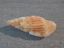 DSCN0997.webp