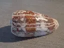 DSCN1027.webp
