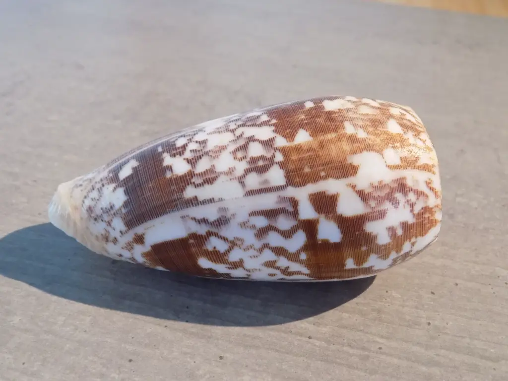 DSCN1028.webp