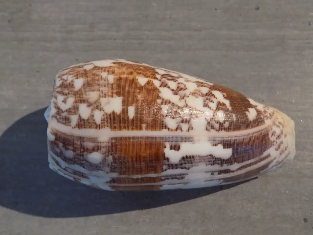 DSCN1030.webp