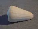 DSCN1031.webp