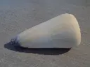 DSCN1032.webp