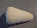 DSCN1034.webp