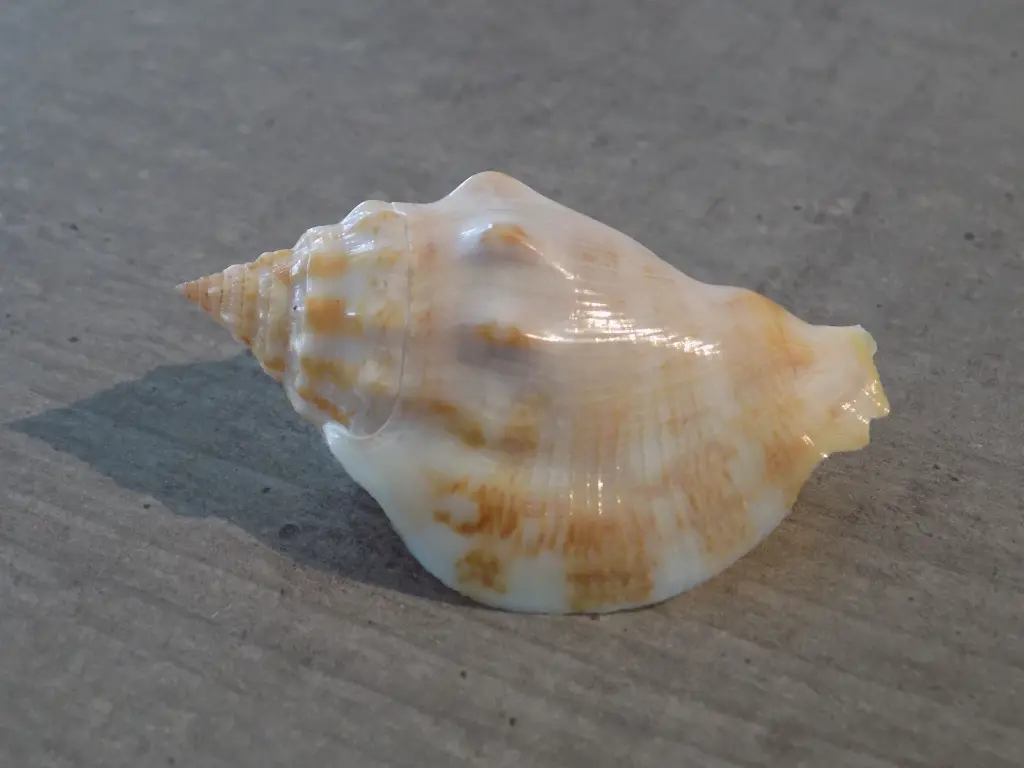 DSCN1039.webp