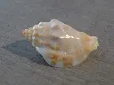DSCN1039.webp