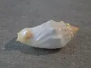 DSCN1041.webp
