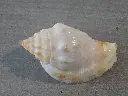 DSCN1044.webp