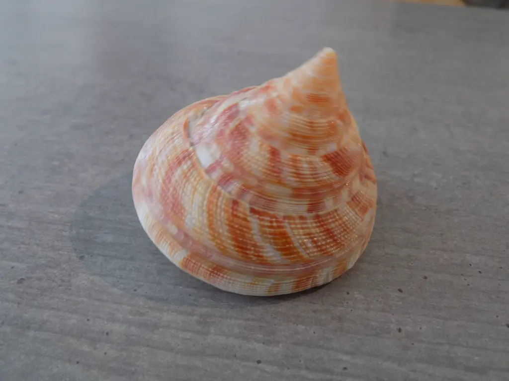 DSCN1047.webp