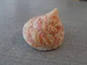 DSCN1047.webp