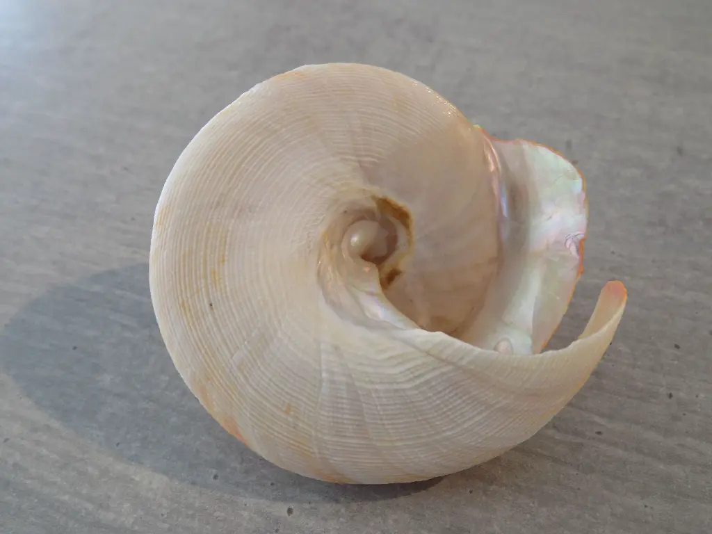 DSCN1048.webp
