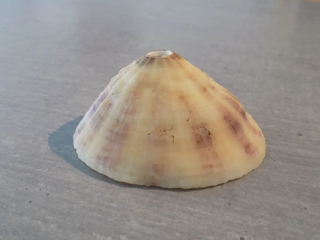 DSCN1057.webp