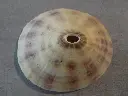 DSCN1059.webp