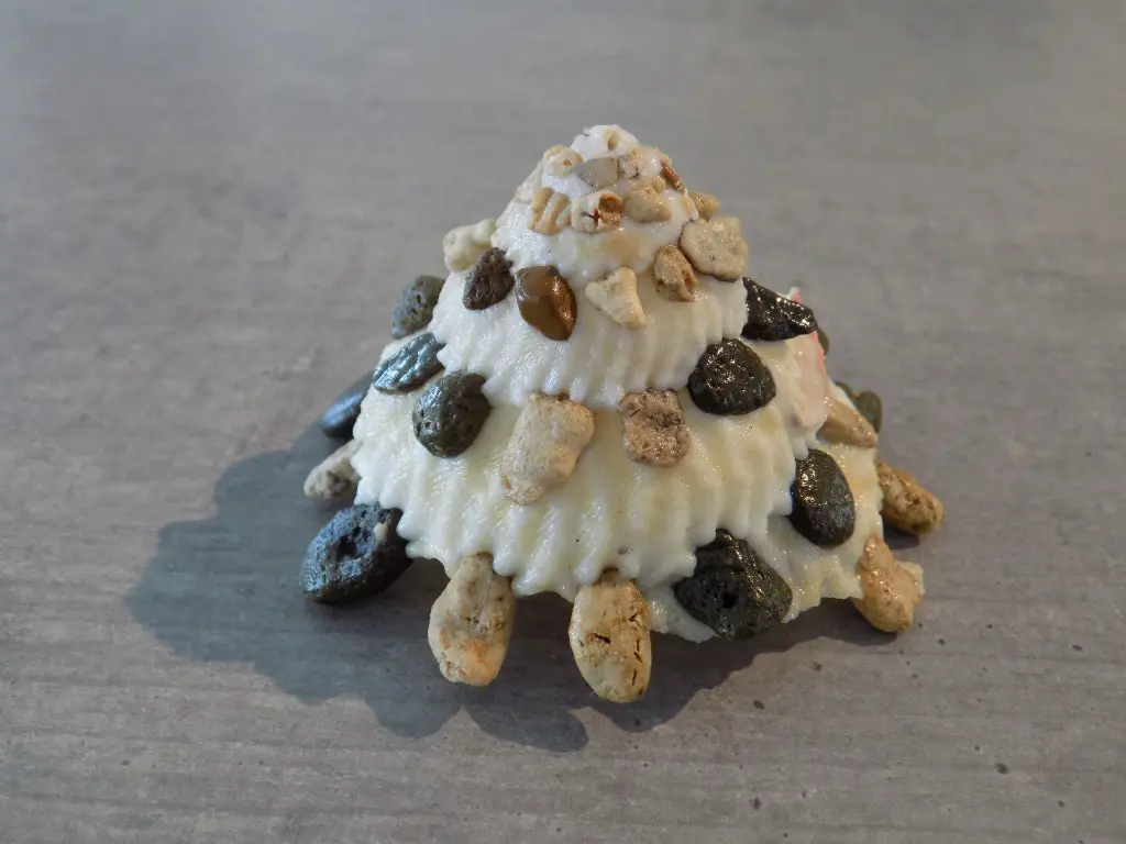 DSCN1061.webp