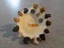DSCN1062.webp