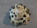 DSCN1064.webp