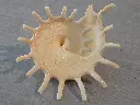 DSCN1073.webp