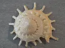 DSCN1074.webp