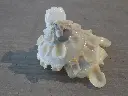 DSCN1066.webp