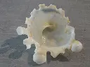 DSCN1068.webp